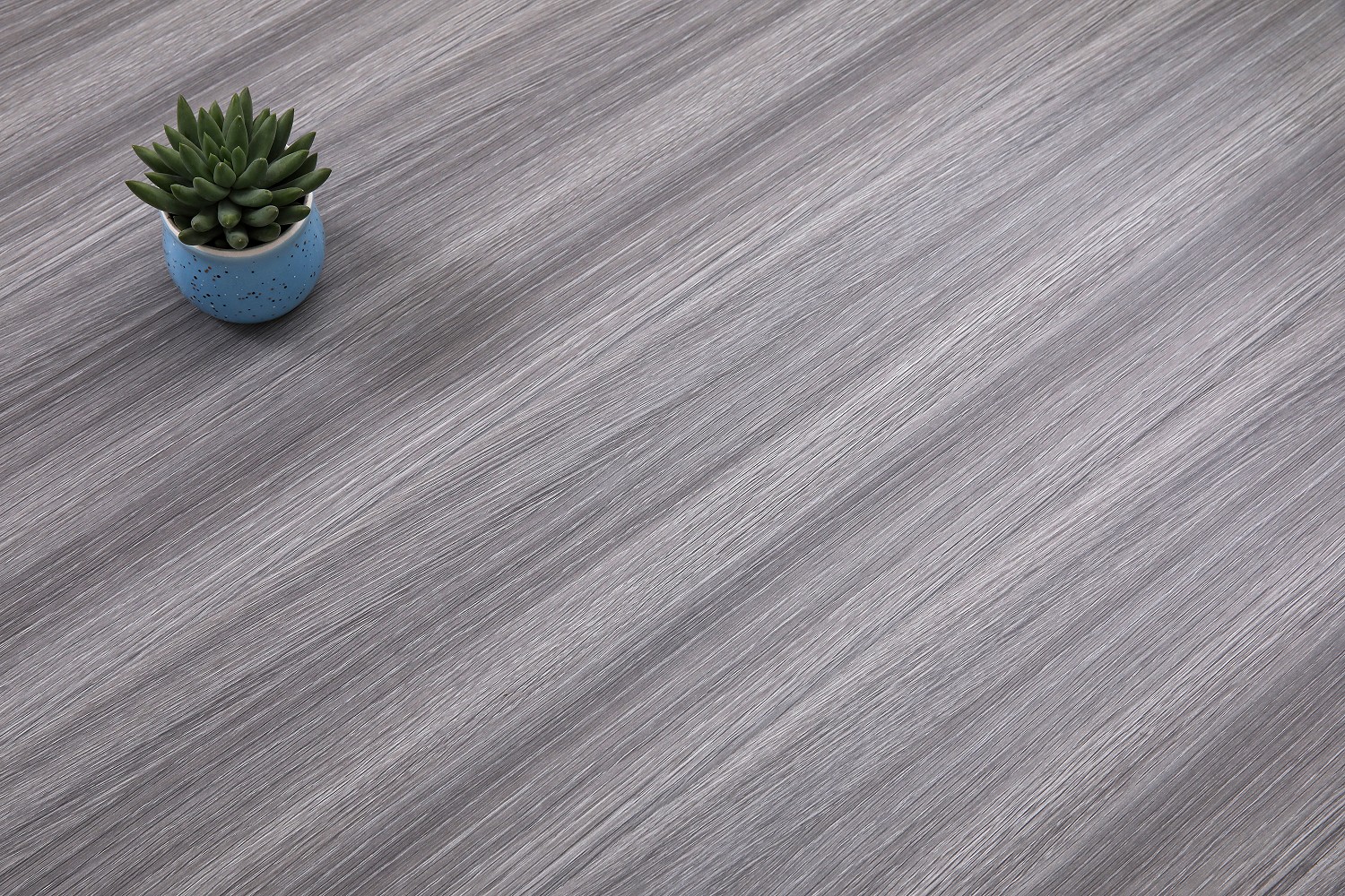 _H4A7160_眸目压缩